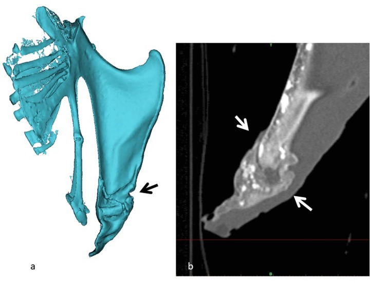 Fig 5