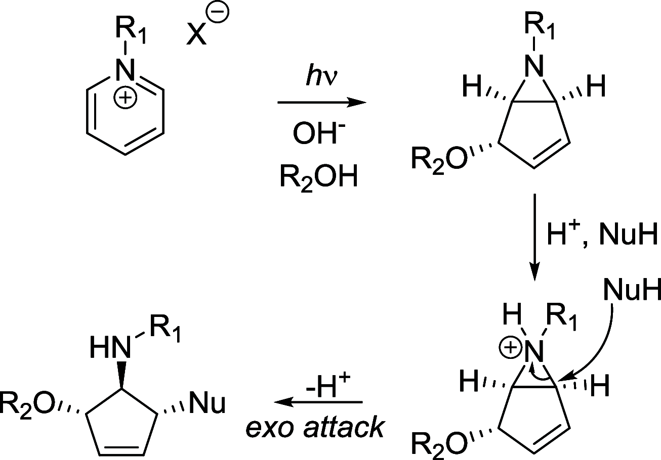 Scheme 7