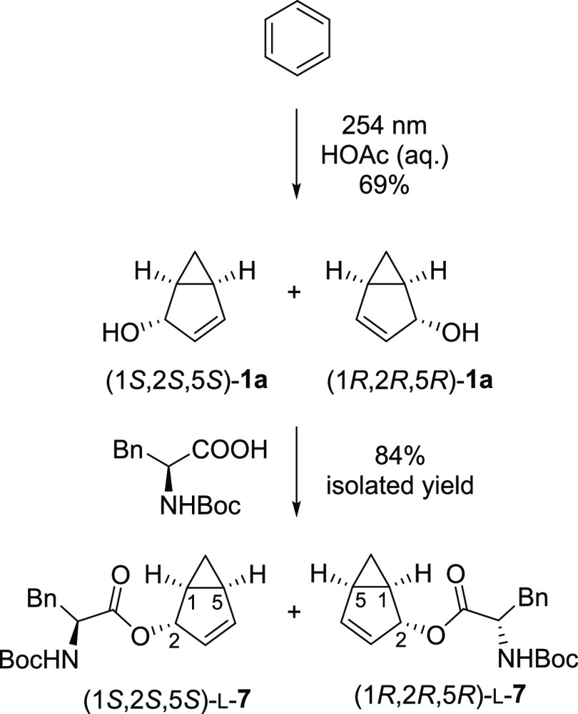 Scheme 5