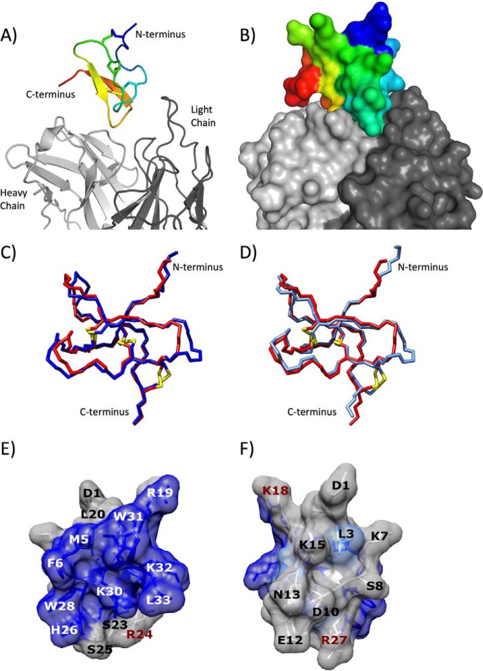 FIGURE 5.