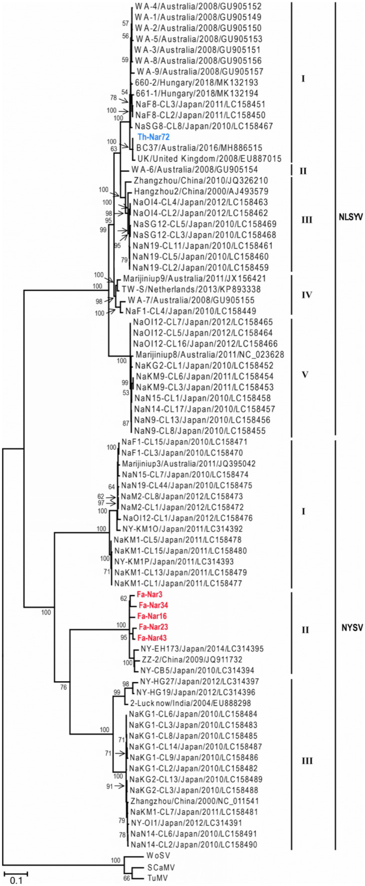 Fig. 2