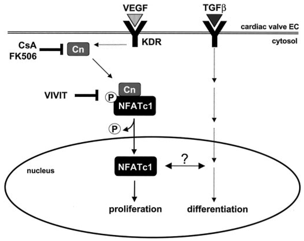 FIG. 6