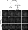 Fig 7.