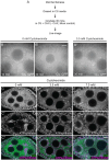 Fig 6.