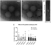 Fig 8.