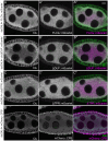 Fig 3.