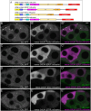 Fig 2.