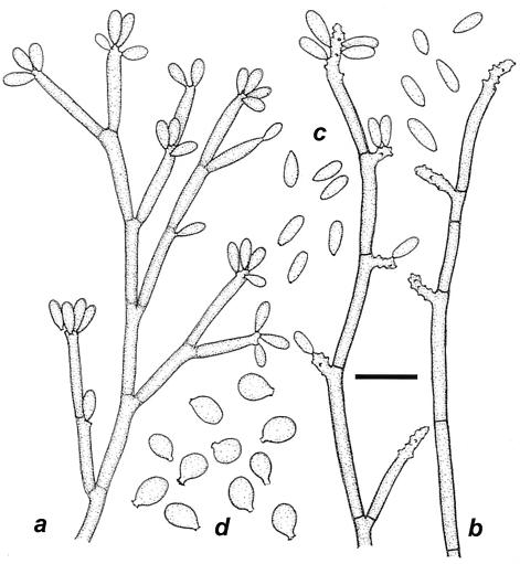 FIG. 7.