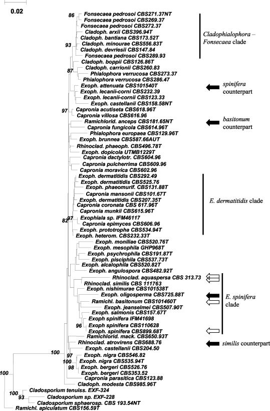 FIG. 1.