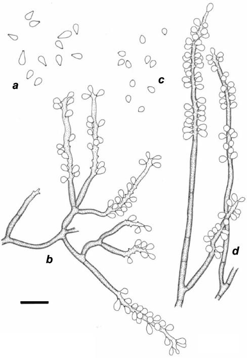 FIG. 6.