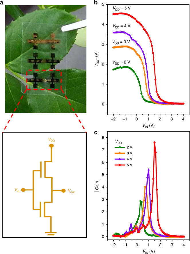 Fig. 7