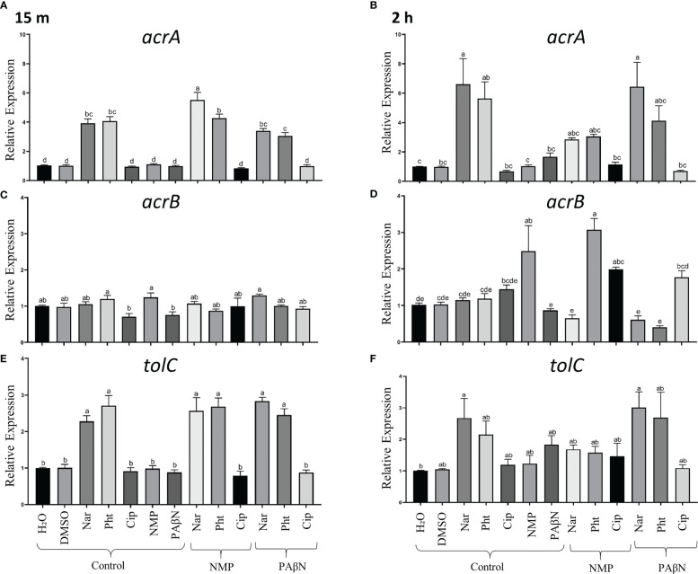 Figure 4