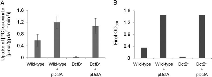 FIG 6