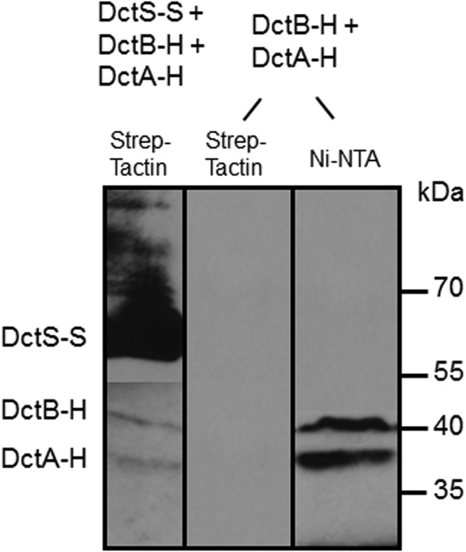 FIG 5