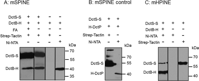 FIG 1