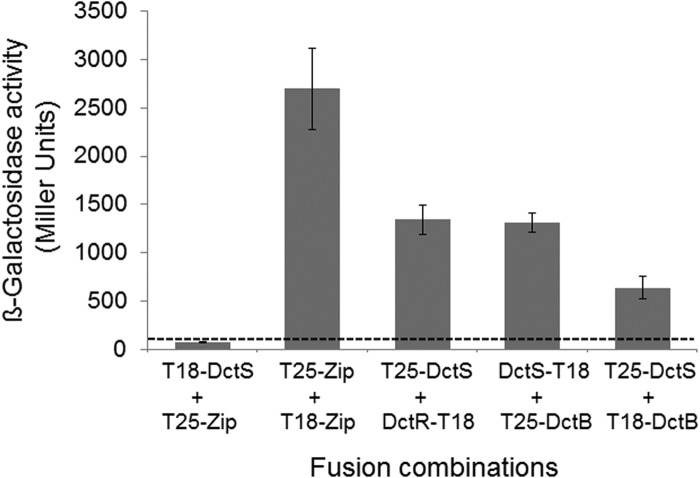 FIG 2