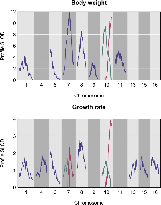 Figure 6