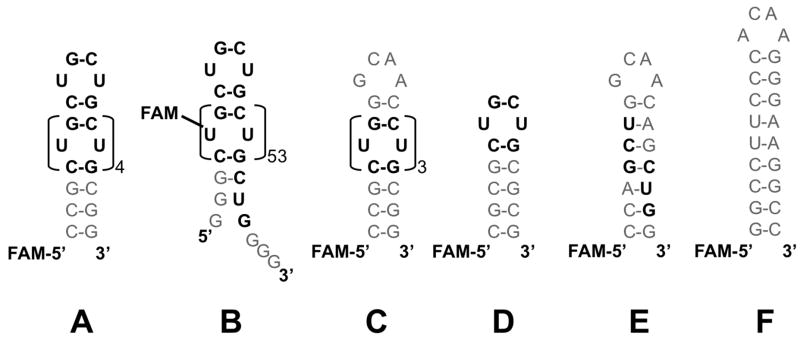 graphic file with name nihms86459f6.jpg