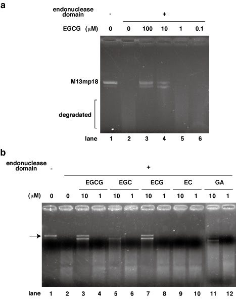 graphic file with name figure-2-2.jpg