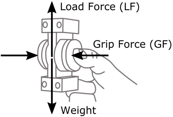 FIGURE 2
