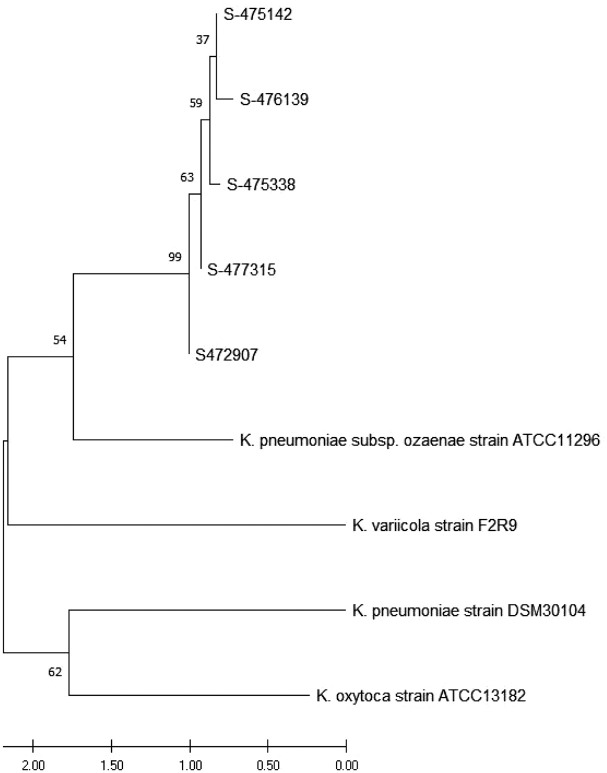 Figure 2.