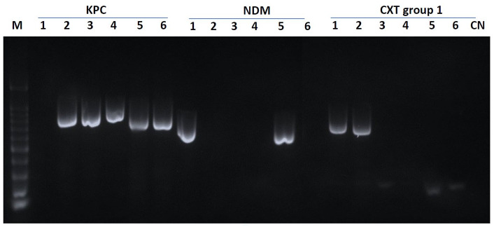 Figure 1.