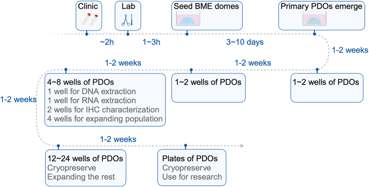 Figure 7