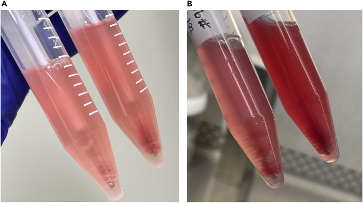 Figure 3