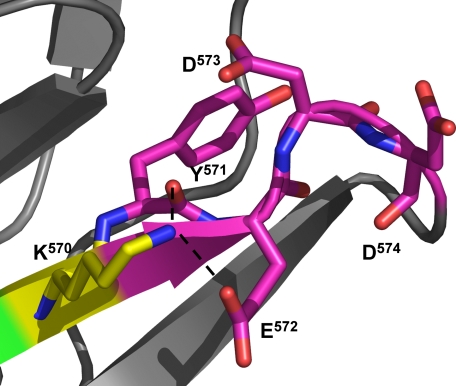 FIGURE 7.