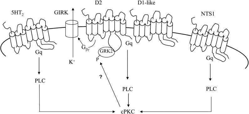 Fig. 5.