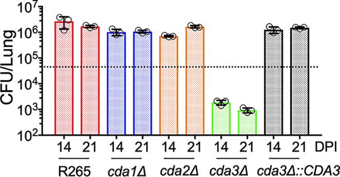 FIG 5