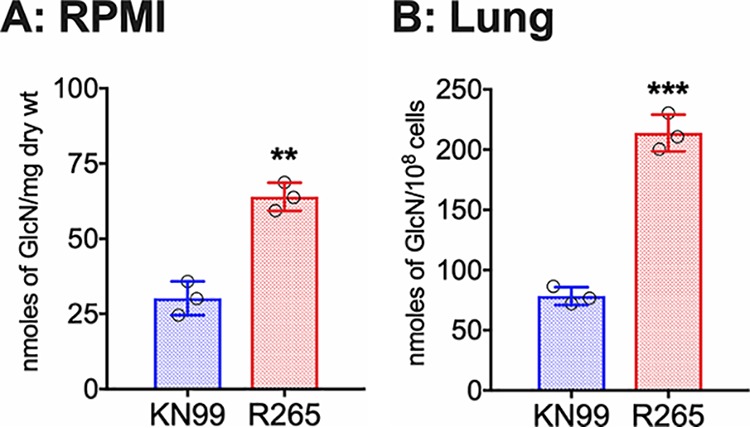 FIG 2