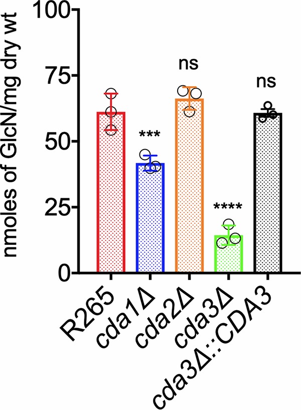 FIG 6