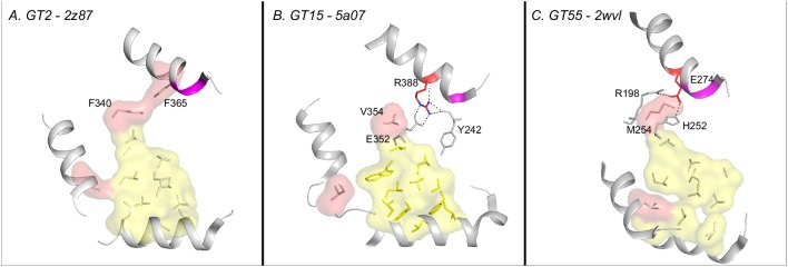 Figure 2—figure supplement 2.