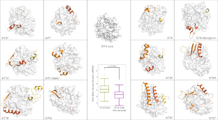 Figure 2—figure supplement 3.