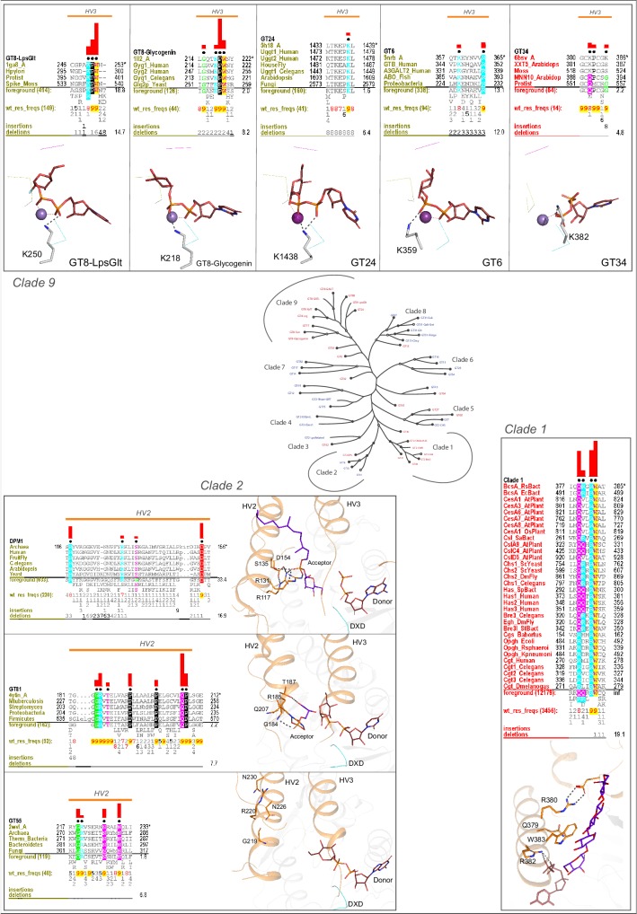 Figure 3—figure supplement 2.