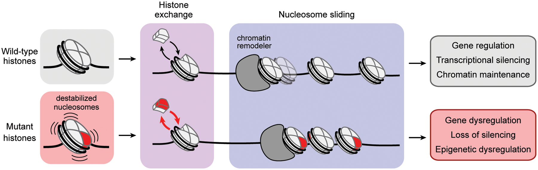 Figure 6 |