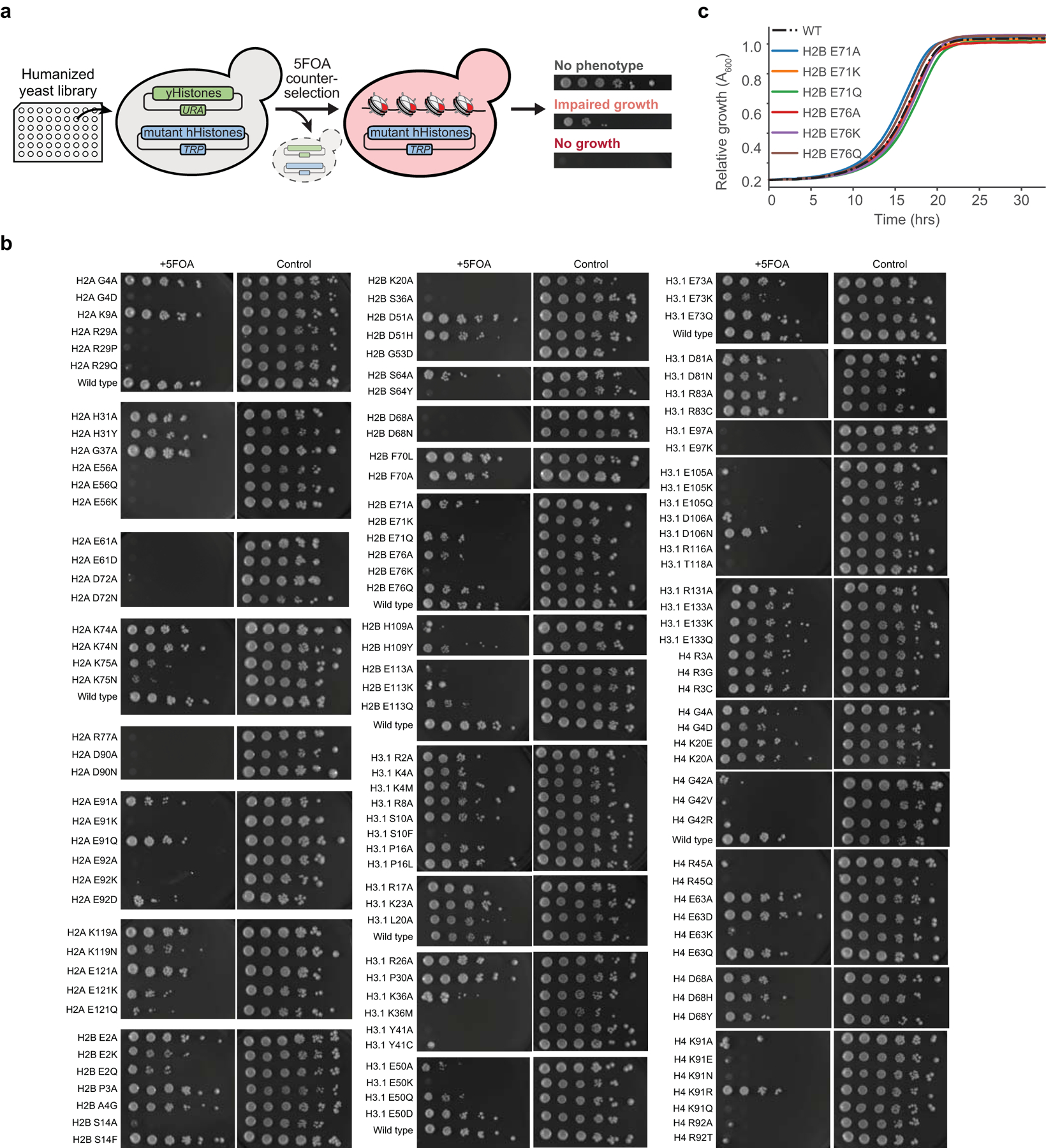 Extended Data Figure 3 |