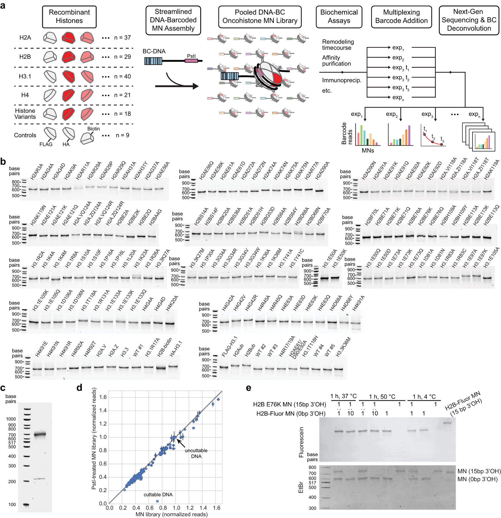 Extended Data Figure 2 |