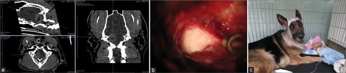 Figure 3: