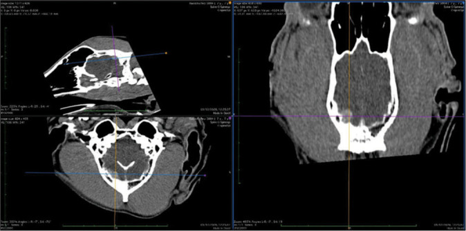 Figure 12: