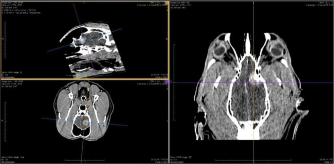 Figure 2: