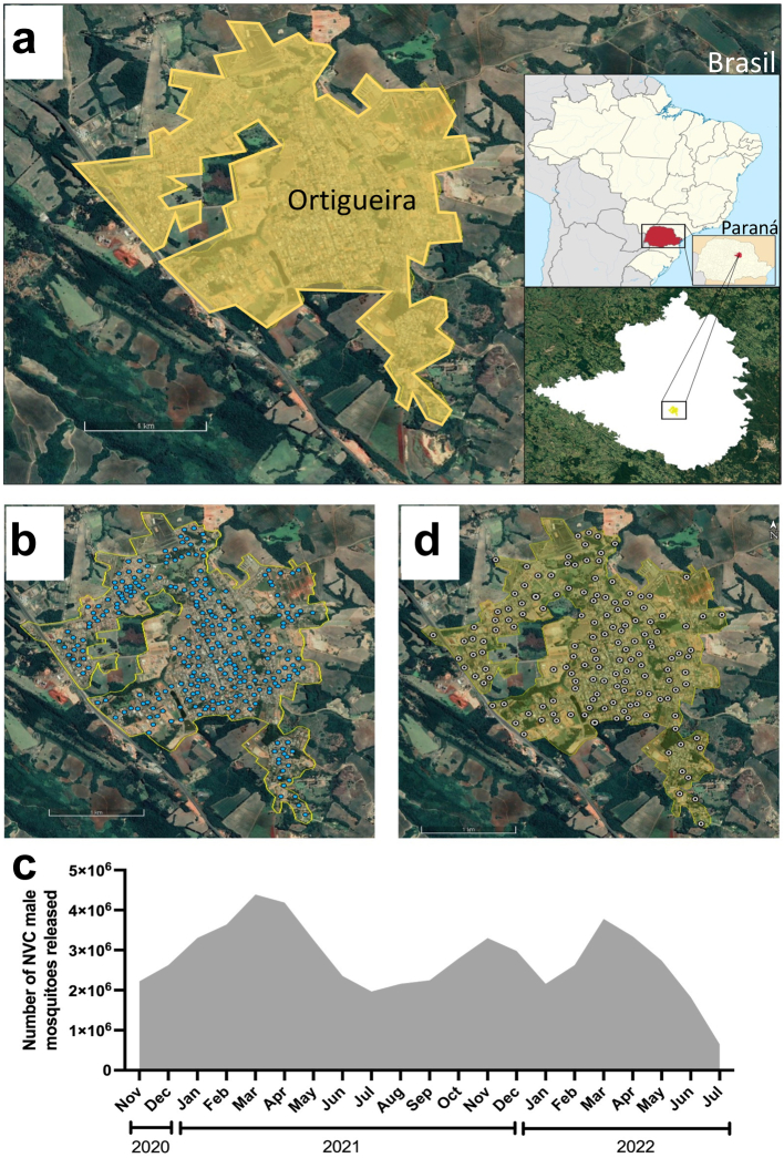 Fig. 1