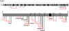 <b>Figure 1.</b>