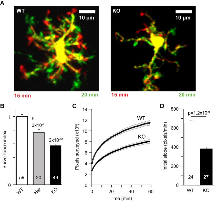 Figure 4