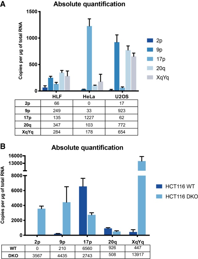 FIGURE 1.