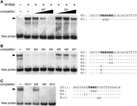 Figure 2.