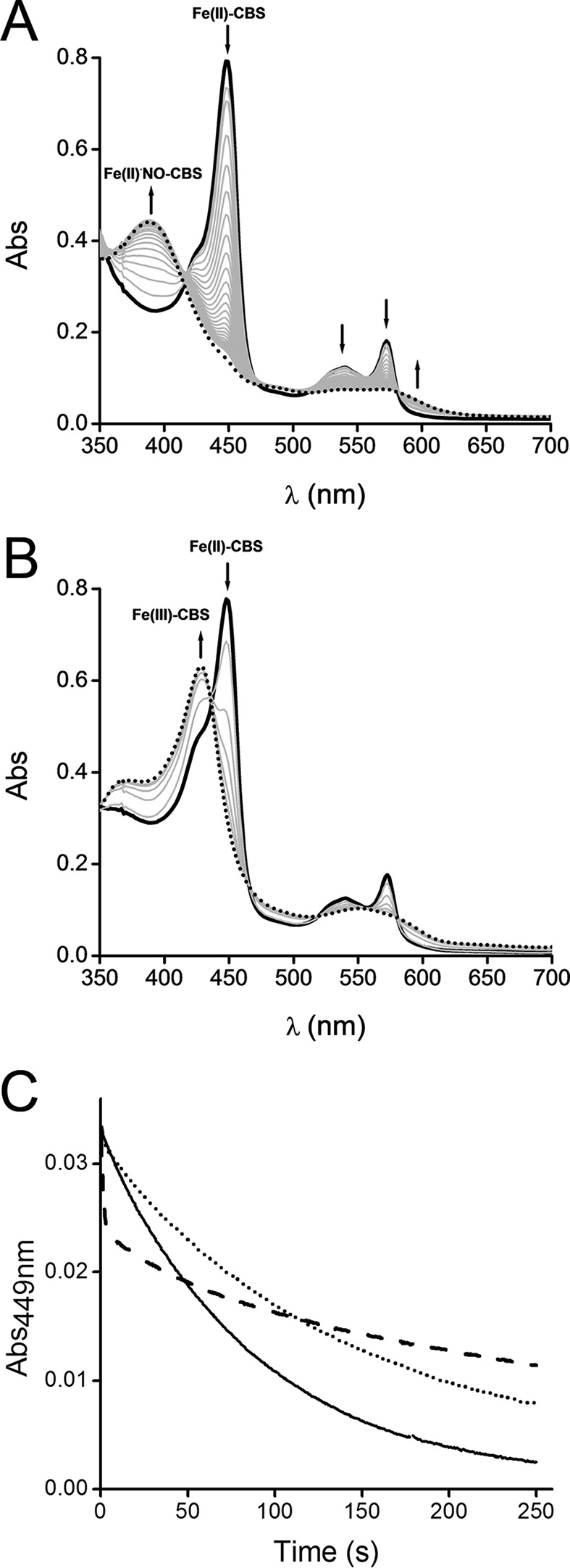 FIGURE 1.