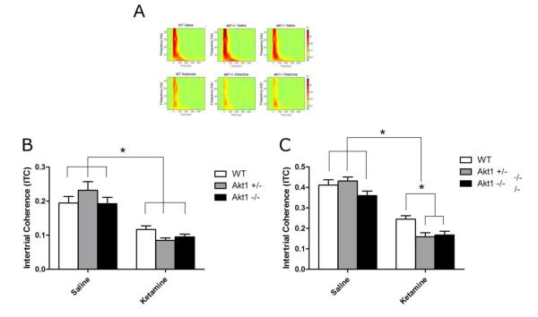 Fig 5