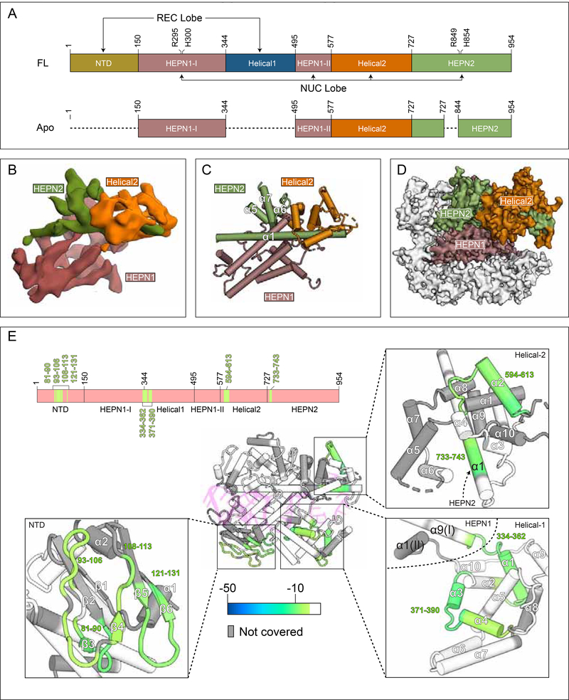 Figure 6.